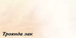 Колір ДСП Київ-Меблі&trade; - Троянда лак