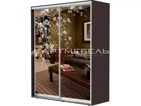 Шкаф-купе двухдверный 1900х2200х450 Феникс Стандарт