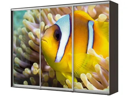 Шафа-купе темний горіх з фотодруком Фенікс Ультра тридверна Шафа-купе темний горіх з фотодруком Фенікс Ультра тридверна