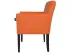 Крісло колір на вибір Остін RICHMAN