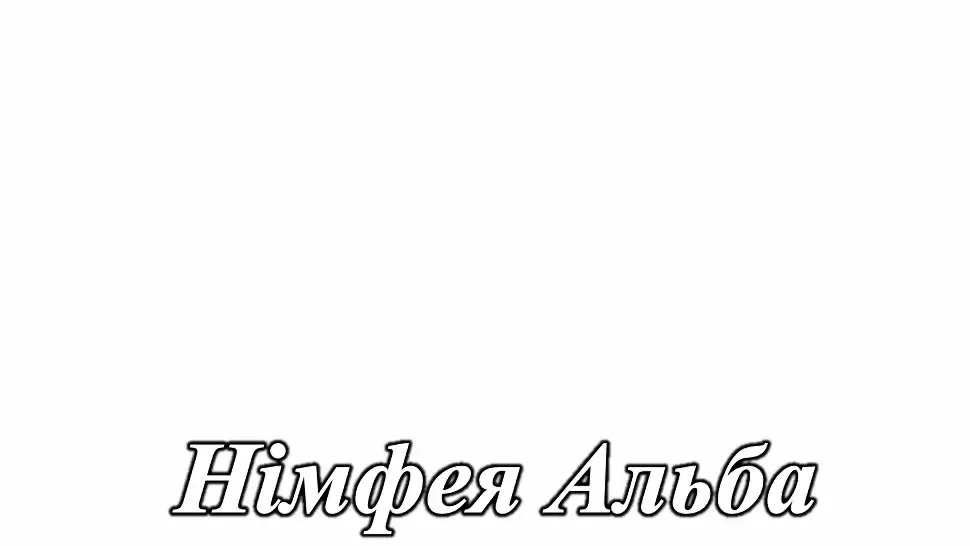 Пенал-1Д2Ш 650х383х1951 Тоні Світ Меблів фото 5 Пенал-1Д2Ш 650х383х1951 Тоні Світ Меблів фото 5