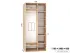 Шкаф-купе Феникс 1100 × 2400 × 600 Стандарт 2-дверный Шкаф-купе Феникс 1100 × 2400 × 600 Стандарт 2-дверный