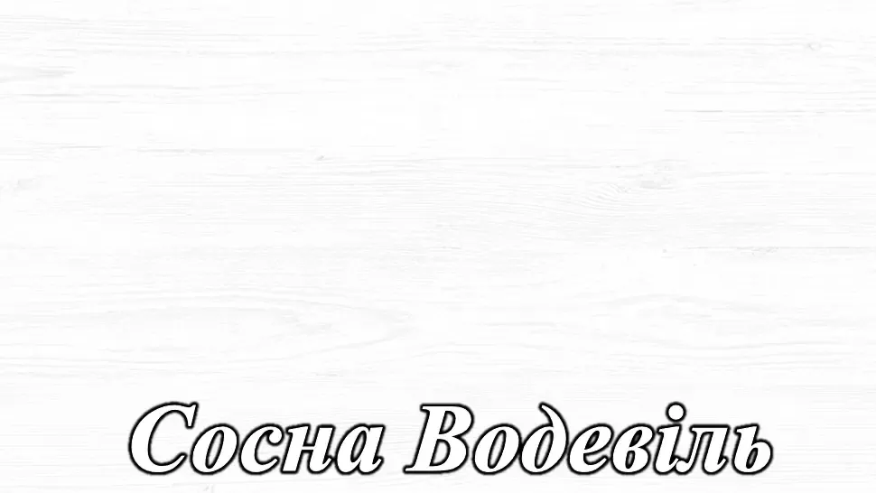 Модульная гостиная Кантри Світ Меблів фото 18