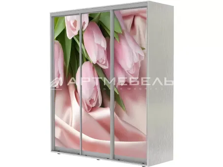 Шкаф-купе 2200x450x2200 ​Стандарт​ Феникс трехдверный