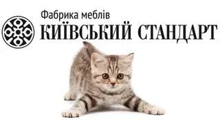 Мебельная фабрика Киевский-Стандарт
