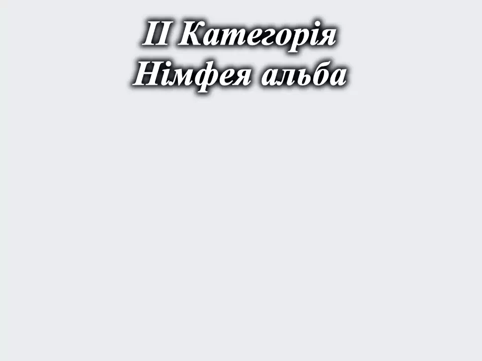 Цвет ДСП корпуса нимфея Альба Константа Цвет ДСП корпуса нимфея Альба Константа