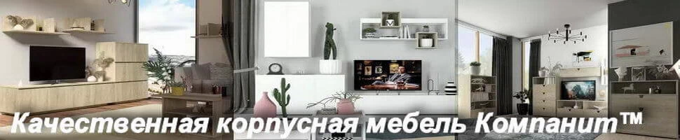 Корпусная мебель фабрики Компанит в Киеве Корпусная мебель фабрики Компанит в Киеве
