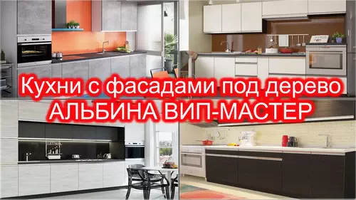 Кухні Альбіна Віп-Майстер Киев