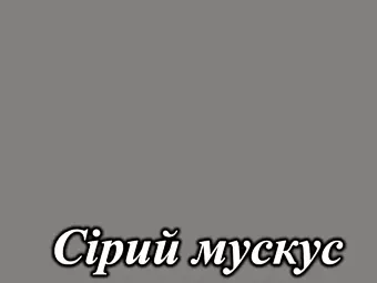 Ламинированный МДФ фасад серия Idea LuxeForm&trade; для кухнь Рост&trade; цвет серый мускус
