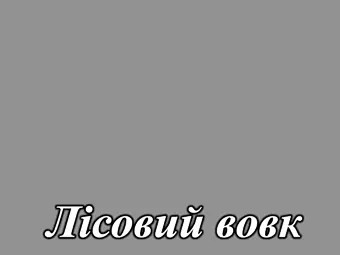 Акриловый МДФ фасад серия Acryl LuxeForm&trade; для кухнь Рост&trade; матовый цвет лесной волк