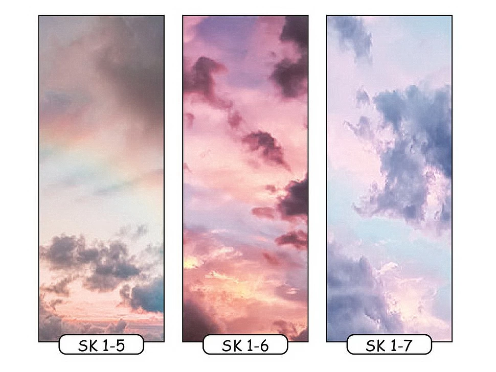 Фотодрук небо 2 для однодверної шафи-купе Фенікс