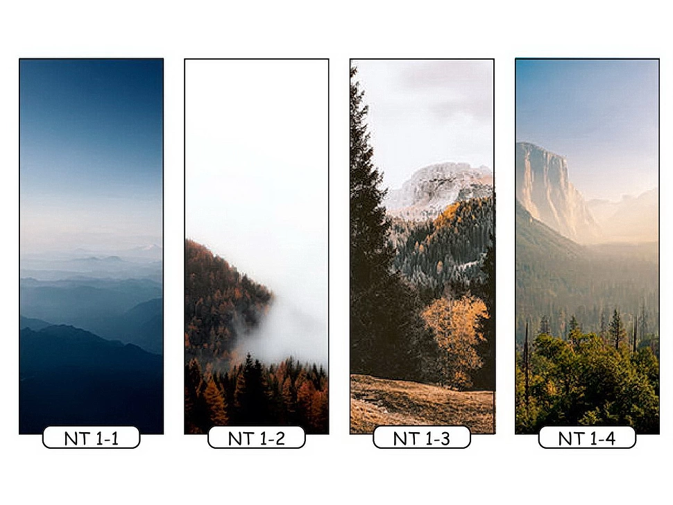 Фотодрук природа 1 для однодверної шафи-купе Фенікс