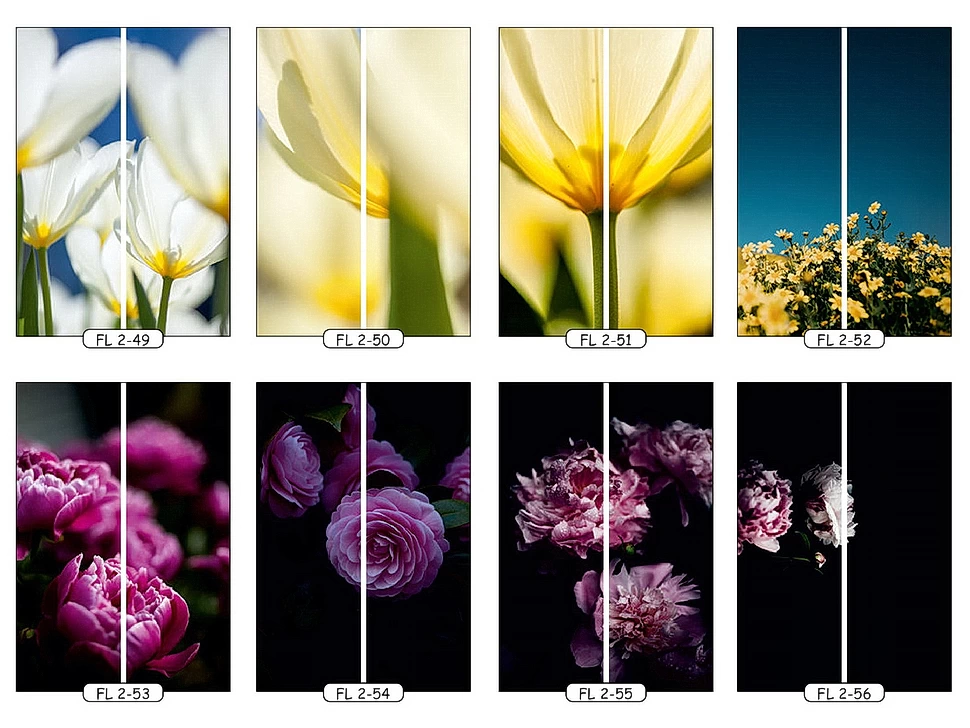 Фотопечать цветы 7 для двухдверного шкафа-купе Феникс