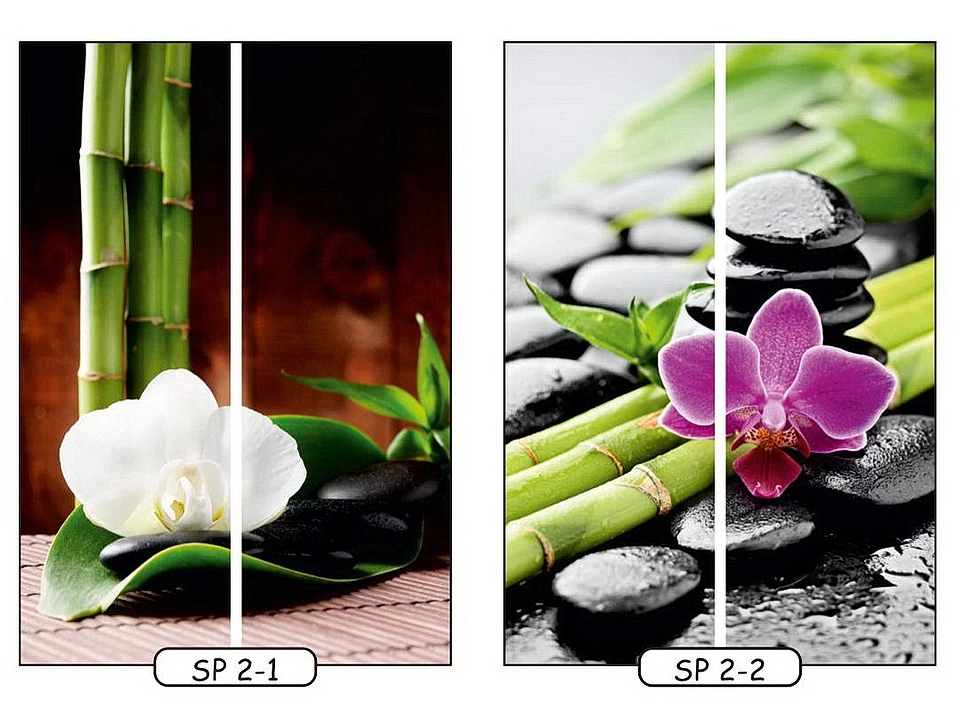 Фотопечать SPA 1 для двухдверного шкафа-купе Феникс